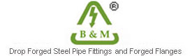 B&M Forged Pipe Fittings Manufacturers
